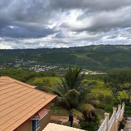 Lion'S View Bed & Breakfast Mandeville Extérieur photo
