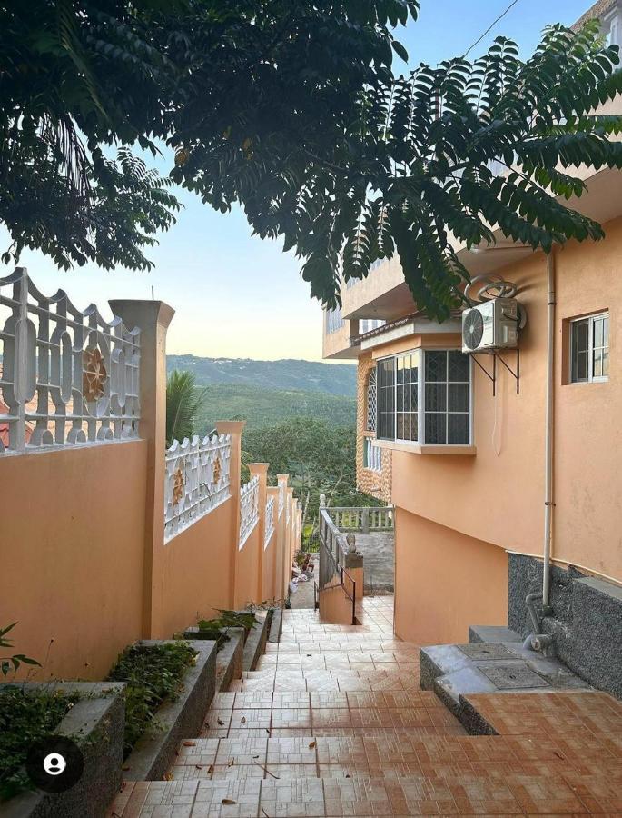 Lion'S View Bed & Breakfast Mandeville Extérieur photo