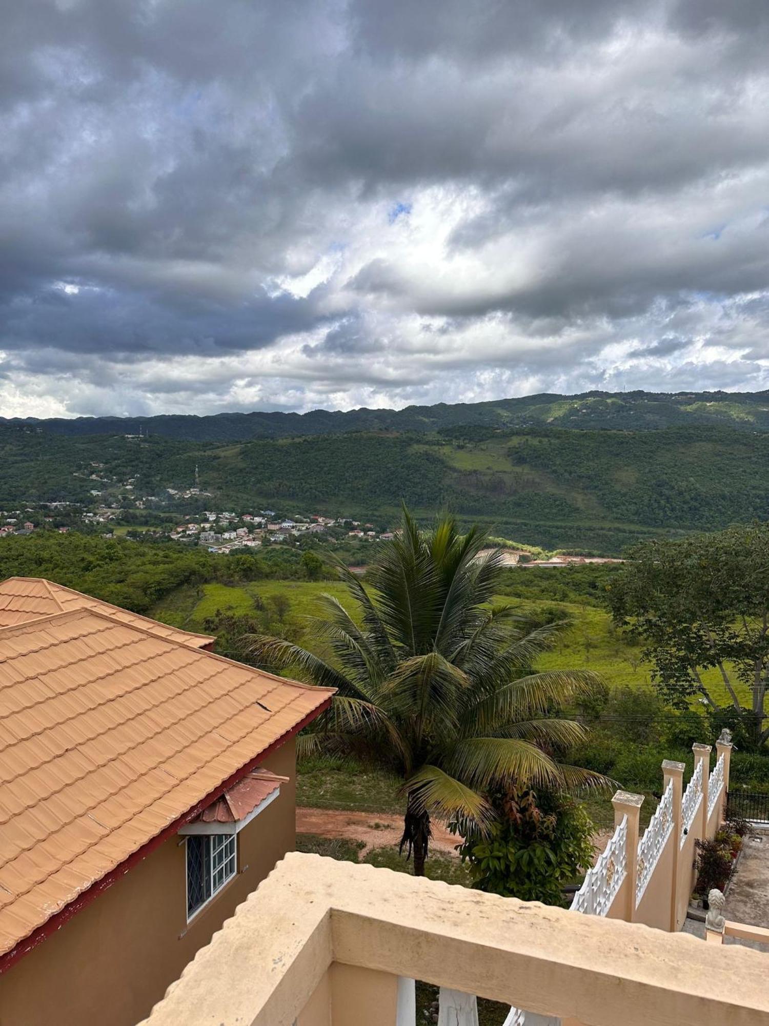 Lion'S View Bed & Breakfast Mandeville Extérieur photo