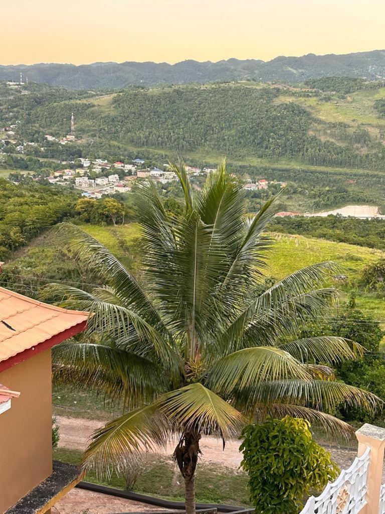 Lion'S View Bed & Breakfast Mandeville Extérieur photo